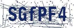 grafischer Zugangscode